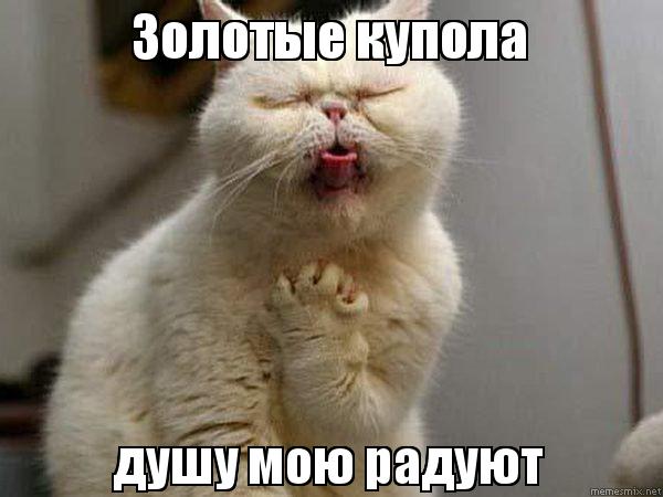 Вечер в хату, ЯПовцы! Кто авторитетом хочет стать? Из дома выходить не обязательно, есть варианты!