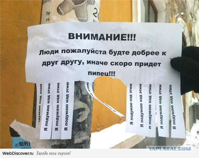 Избитую до полусмерти старушку все принимали за бомжа. В итоге женщина чуть не замерзла под забором в Домодедово