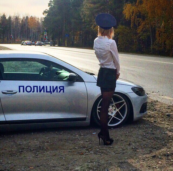 Прикольные картинки абавсём