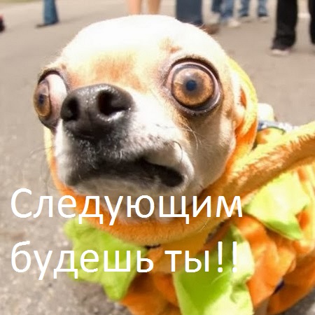 У берегов Австралии выловили вот такую 100-килограммовую голову мертвой акулы. Это КТО же ее откусил?!