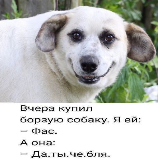 Могу себе позволить