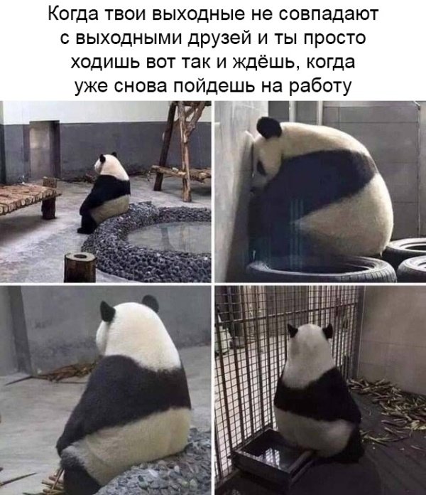Прикольные картинки абавсём