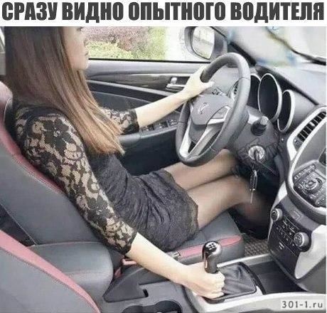 Выходи, я тебе ничего не сделаю!
