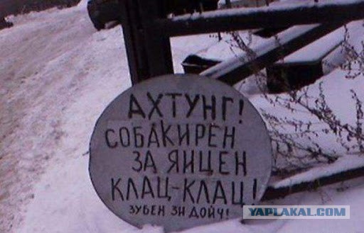 Этот взгляд