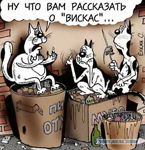 Фотожаба: Троица!