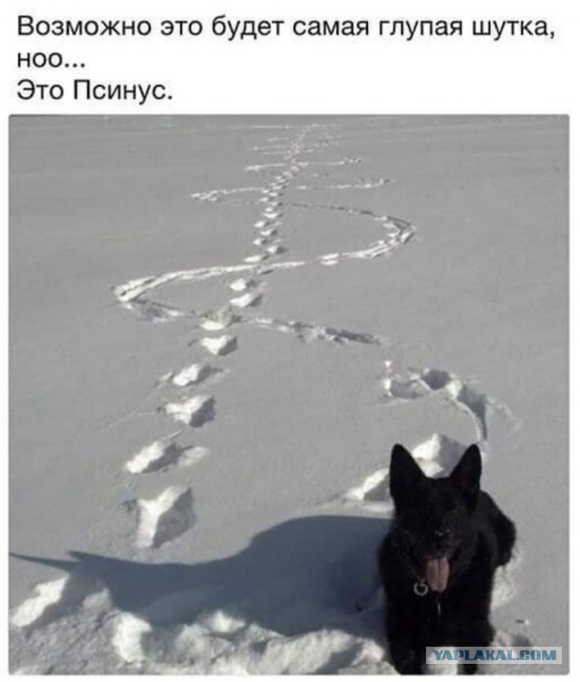 Бредзона 20.05.2020