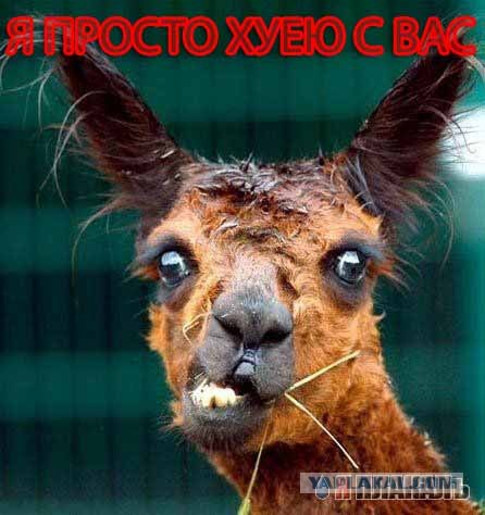 Просто вторник!