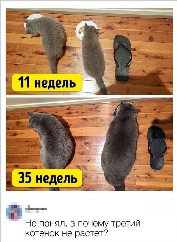 Немного картинок для настроения 28.09.20
