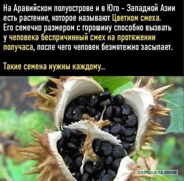 Подборка анекдотов на злобу дня в среду 07.10.2020