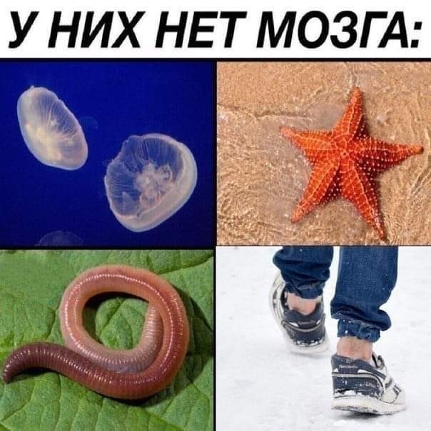 Ещё немного лайтовой чернушки не желаете?