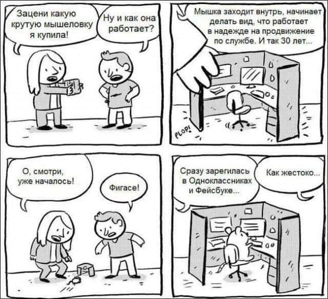 Бредзона 15.12.20