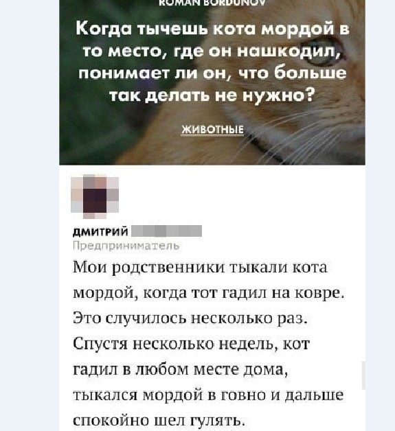 Картинки и мемы для настроения 018