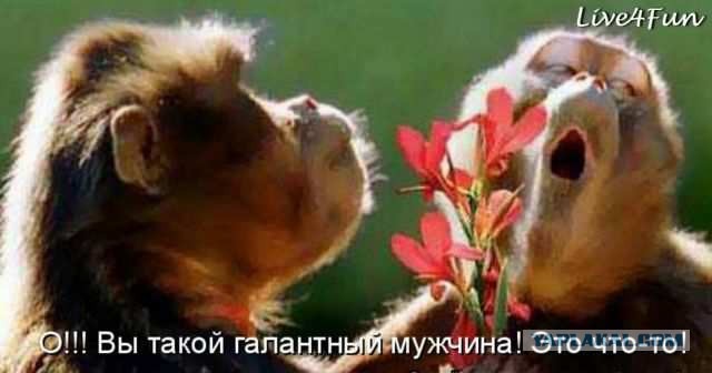 Новый мем: милые девушки корчат ужасные рожи
