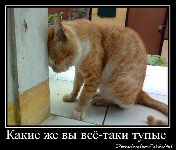 Мигранты изнасиловали предложившую им помощь туристку на Канарах