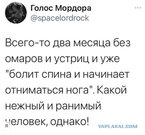 Здоровье Навального ухудшилось. Боли в спине