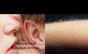 Так себе картинки 29.04.21