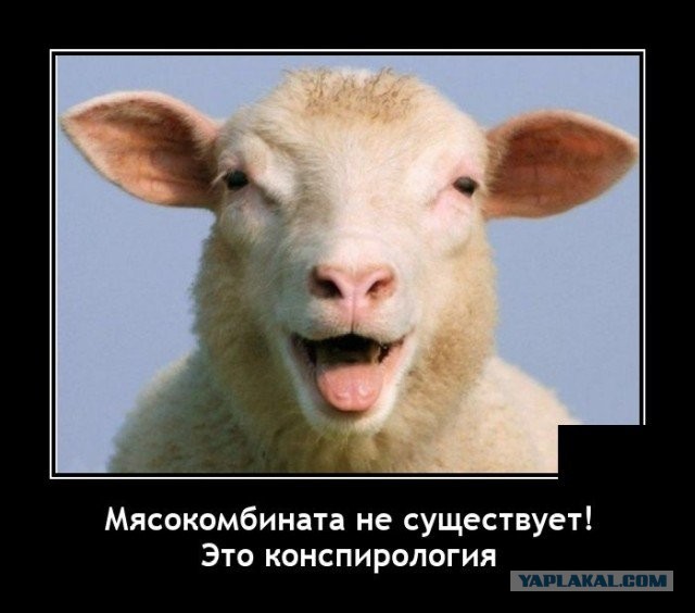 Зачем проводят массовое шприцевание людей?