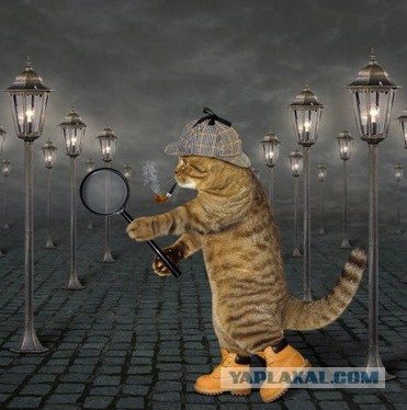 Такого не бывает