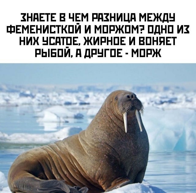 Так себе картинки 30.10.21