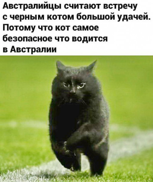 Всяческие картинки 10.11.2021