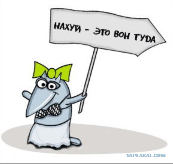 Картинки и мемы для настроения