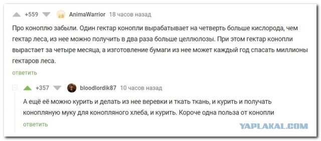 Забавные комментарии из социальных сетей (10.01.22)