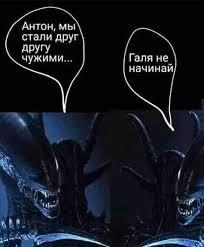 Камень не выбрасывать
