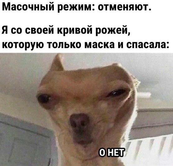 Да что же это такое-то, А?