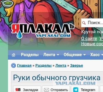 Руки обычного грузчика