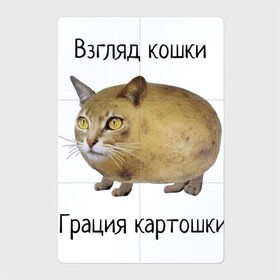 "Вот я какая, на отдыхах ! "