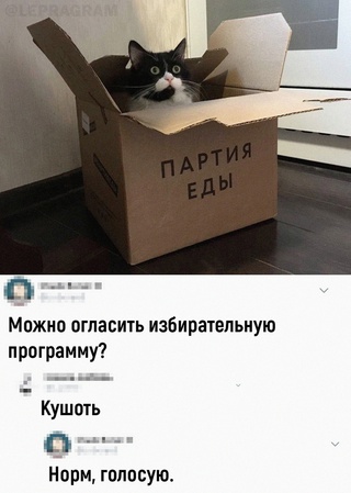 Картинки и мемы, всем хороших выходных