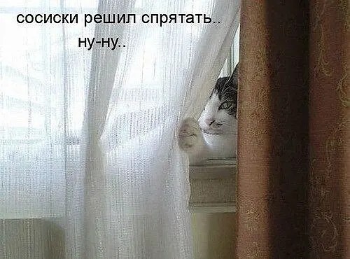 Юмор в картинках и без