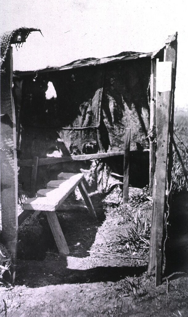 О главном: латрины на войне.