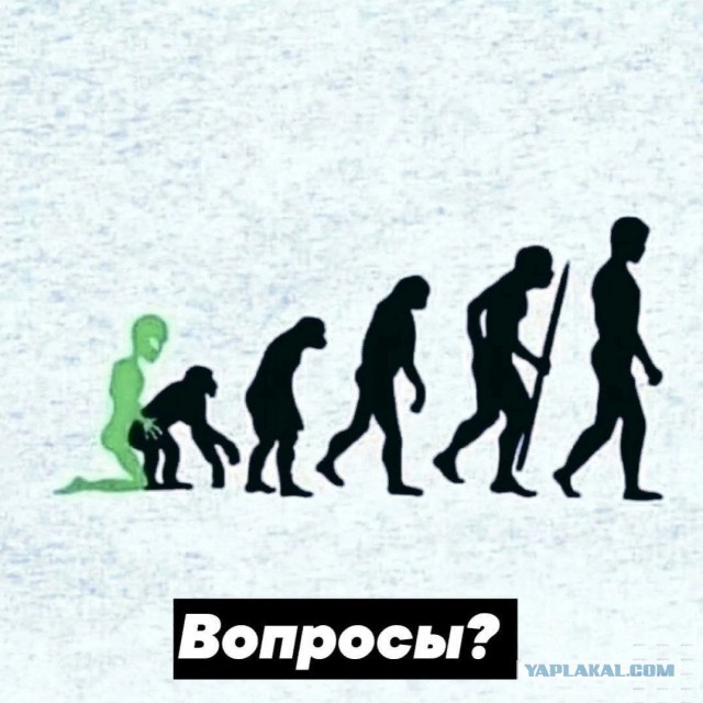 Теория эволюции Дарвина верна? Происхождение человека