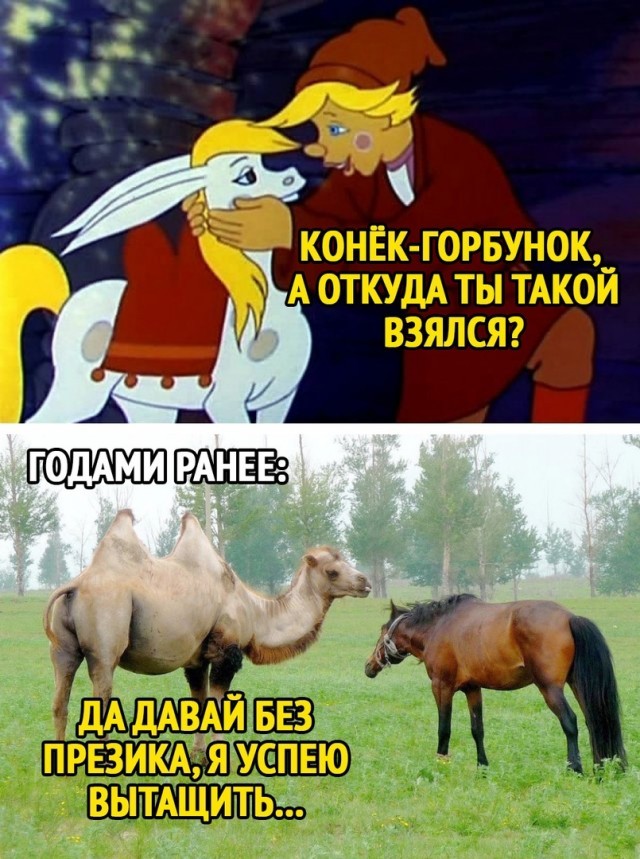 Кентавры - самые загадочные существа греческой мифологии