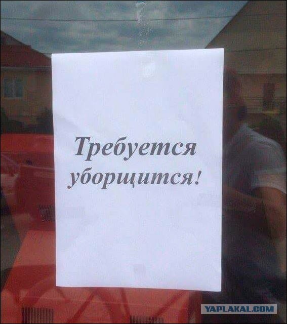 Перлы 12.10.23