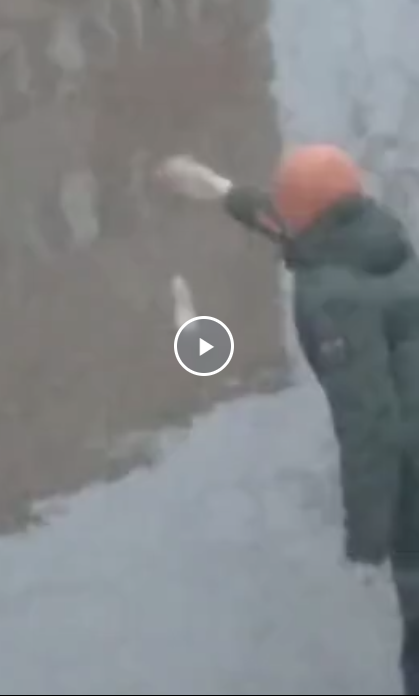 Не клюёт чота...