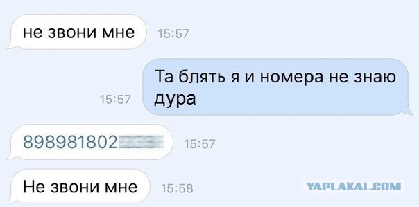 Так себе картинки 02.11.24