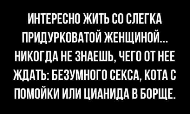 Весёлые картинки
