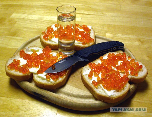 Правильные закуски (16 фото+текст)