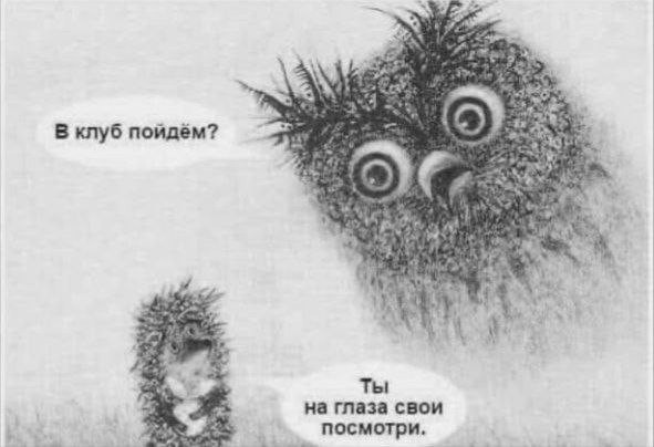Без морали