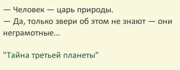 Лев напал на Зубкова в парке Тайган
