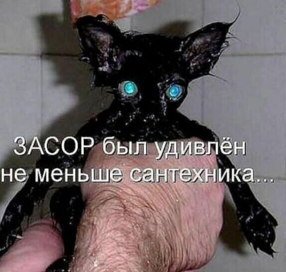 Дегрономикон 10