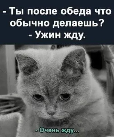 Среды картинки