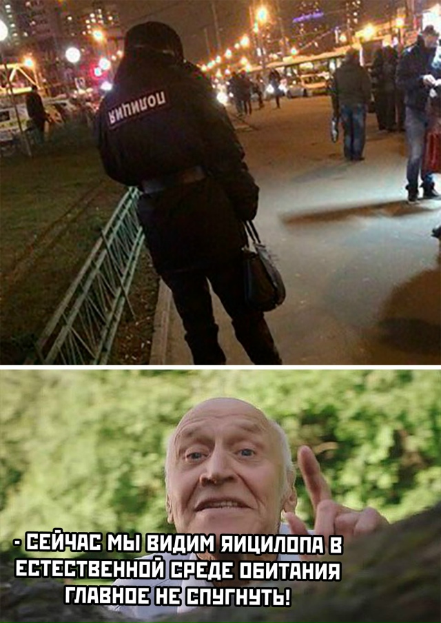 А если остановят?