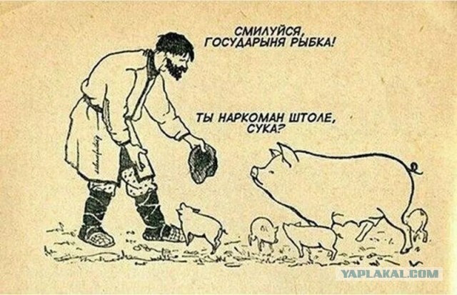 Картинки для деградации 152 (разной степени свежести)