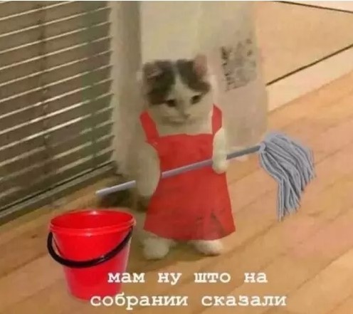 К котовторнику: подборка картинок-баянов с котиками и про котиков. Выпуск 36.
