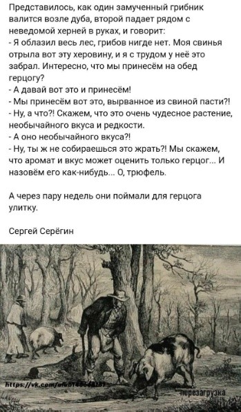 Картинки для деградации 186 (разной степени свежести)