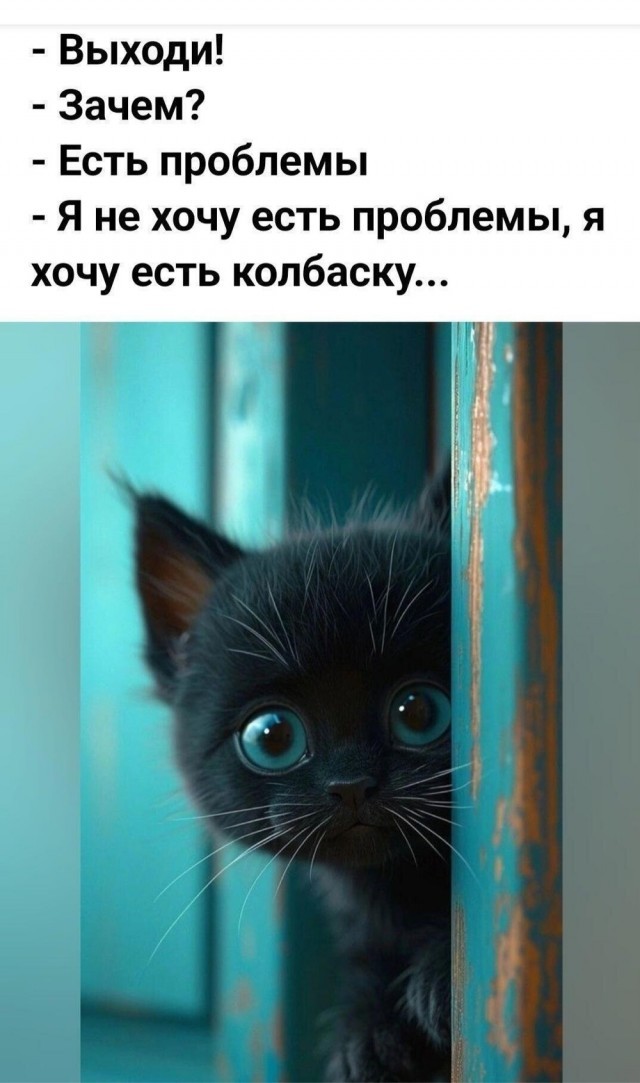 К котовторнику: подборка картинок-баянов с котиками и про котиков. Выпуск 37.