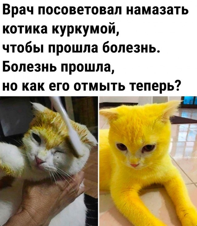 Так себе картинки 22.06.26